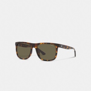 Lentes de Sol Coach Beveled Signature Flat Top Square Hombre Marrones | CL_CH96279