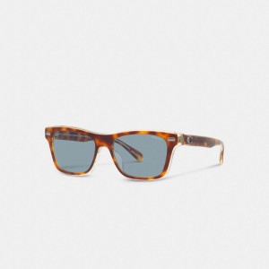 Lentes de Sol Coach Beveled Signature Square Hombre Azules | CL_CH42093