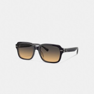 Lentes de Sol Coach Beveled Signature Square Hombre Gris Oscuro | CL_CH88860