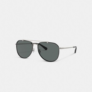 Lentes de Sol Coach Metal Windsor Pilot Hombre Negras Gris | CL_CH94388