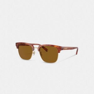 Lentes de Sol Coach Retro Hombre Marrones | CL_CH46097