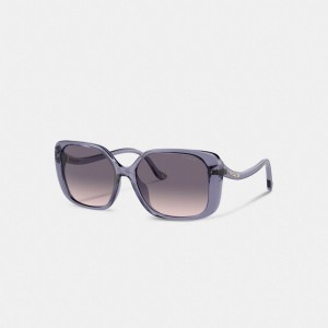 Lentes de Sol Coach Swoop Temple Rectangle Transparent Mujer Moradas | CL_CH94716