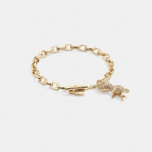 Pulseras Coach Pavé Rexy Signature Chain Mujer Doradas | CL_CH97977