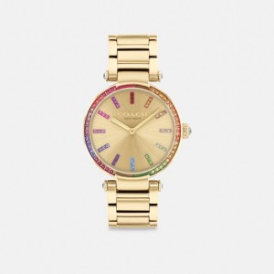 Relojes Coach Cary 34 Mm Mujer Doradas | CL_CH65015