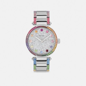 Relojes Coach Cary 34 Mm Stainless Steel Mujer Gris | CL_CH93328