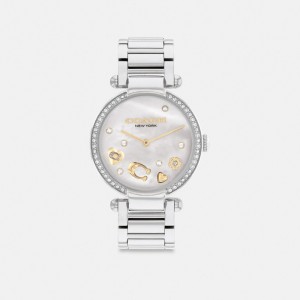 Relojes Coach Cary 34 Mm Stainless Steel Mujer Gris | CL_CH23134