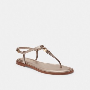 Sandalias Coach Jessica Champagne Mujer Marrones | CL_CH28216