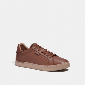 Zapatillas Coach Lowline Low Top Hombre Marrones | CL_CH83848