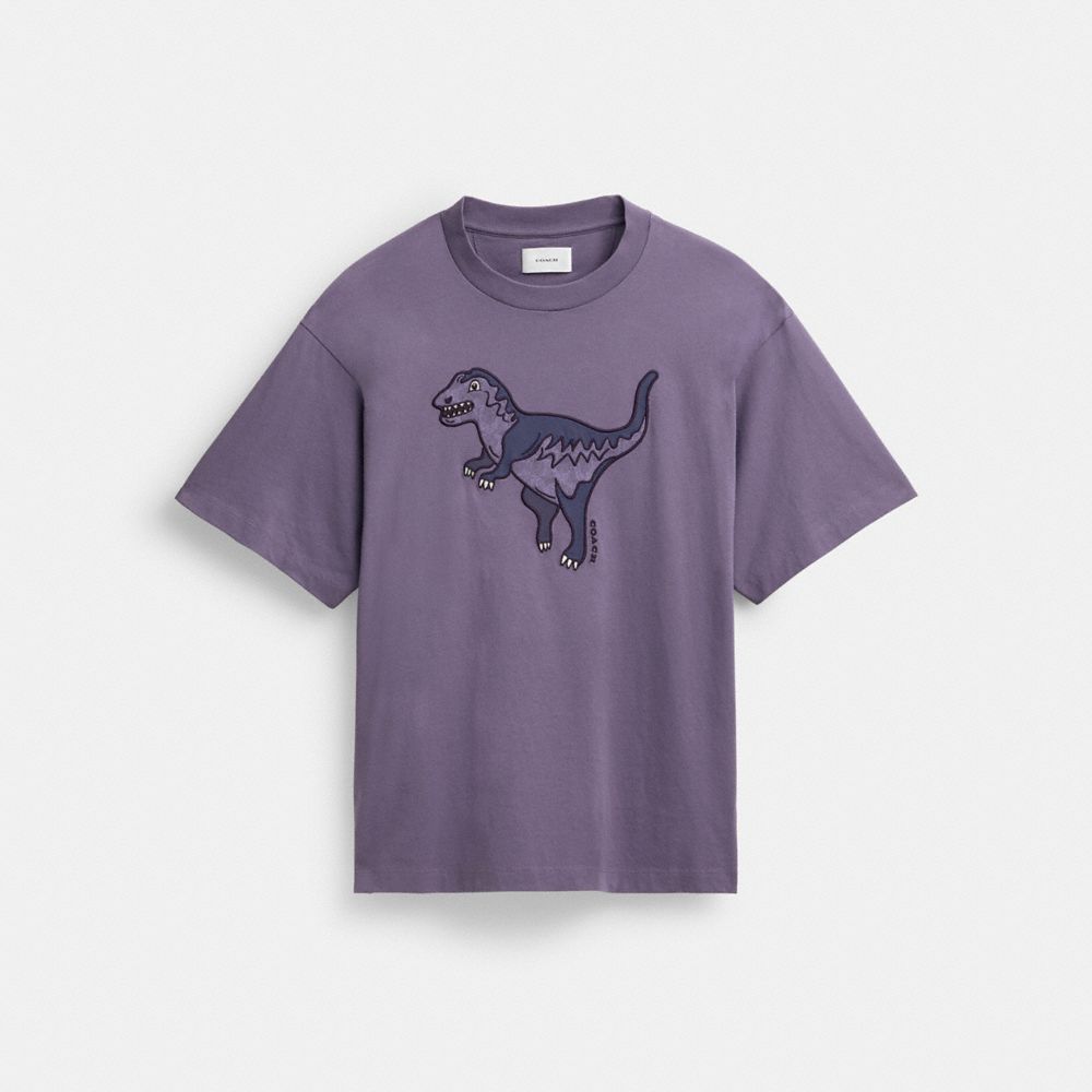 Camiseta Coach Rexy In Organic Cotton Hombre Moradas | CL_CH38323