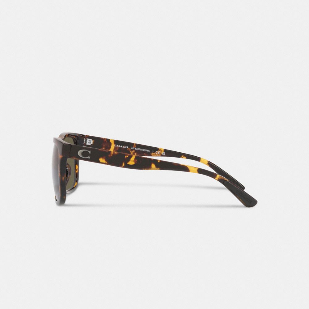 Lentes de Sol Coach Beveled Signature Flat Top Square Hombre Marrones | CL_CH96279