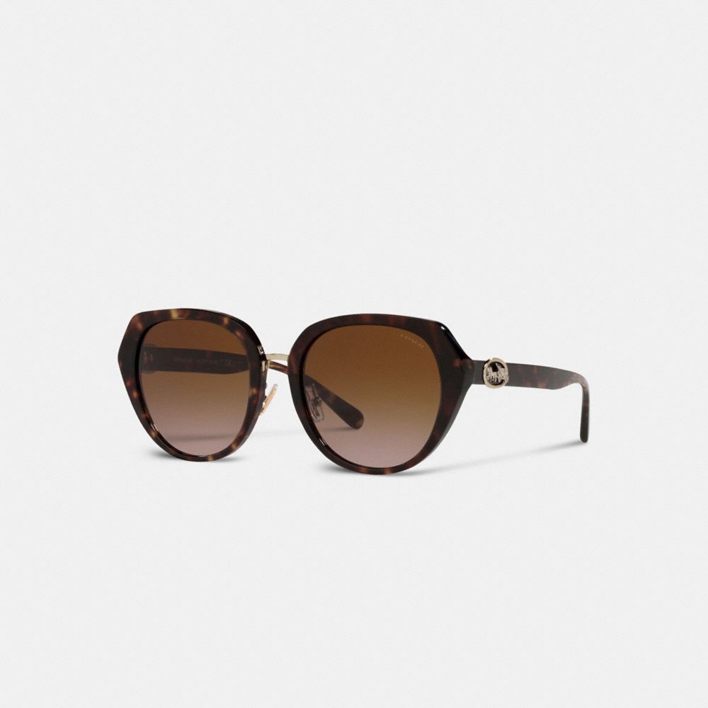 Lentes de Sol Coach Horse And Carriage Oversized Round Mujer Negras | CL_CH61926