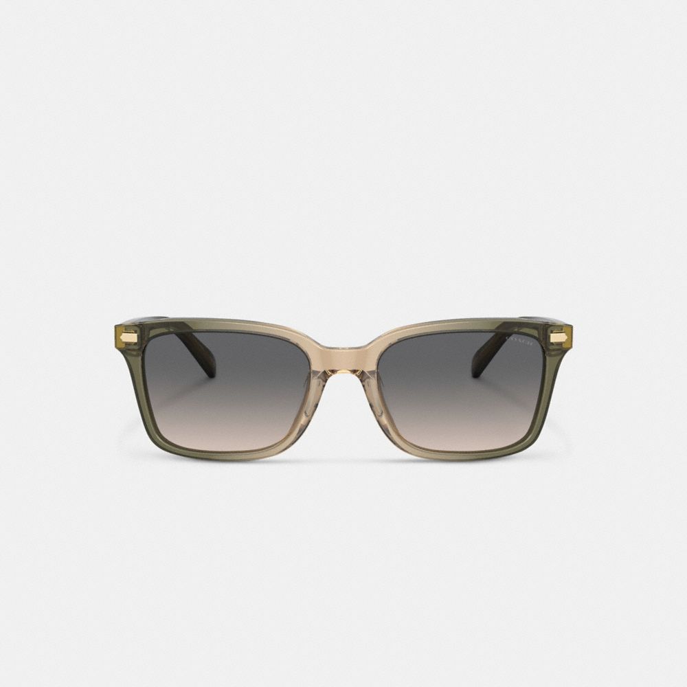 Lentes de Sol Coach Narrow Square Hombre Verde Marrones | CL_CH83948