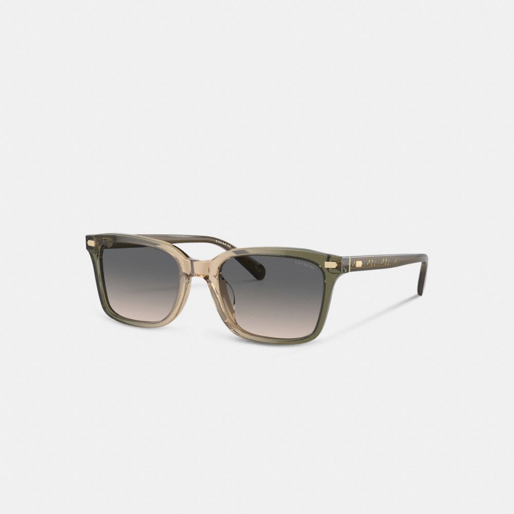 Lentes de Sol Coach Narrow Square Hombre Verde Marrones | CL_CH83948