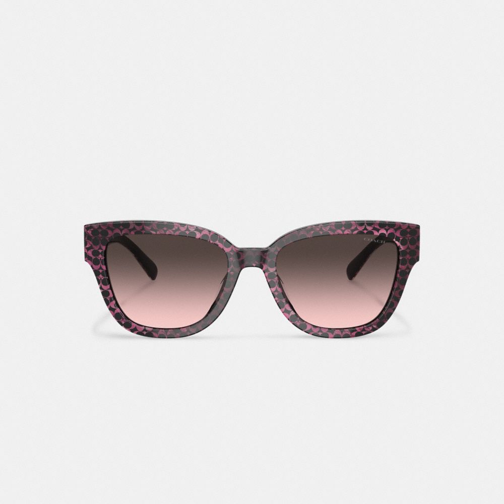 Lentes de Sol Coach Signature Round Ruby Pearlized Signature Mujer Marrones | CL_CH71133