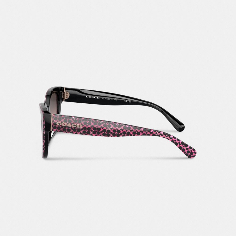 Lentes de Sol Coach Signature Round Ruby Pearlized Signature Mujer Marrones | CL_CH71133