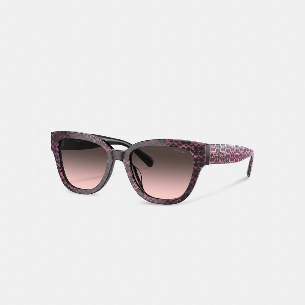 Lentes de Sol Coach Signature Round Ruby Pearlized Signature Mujer Marrones | CL_CH71133