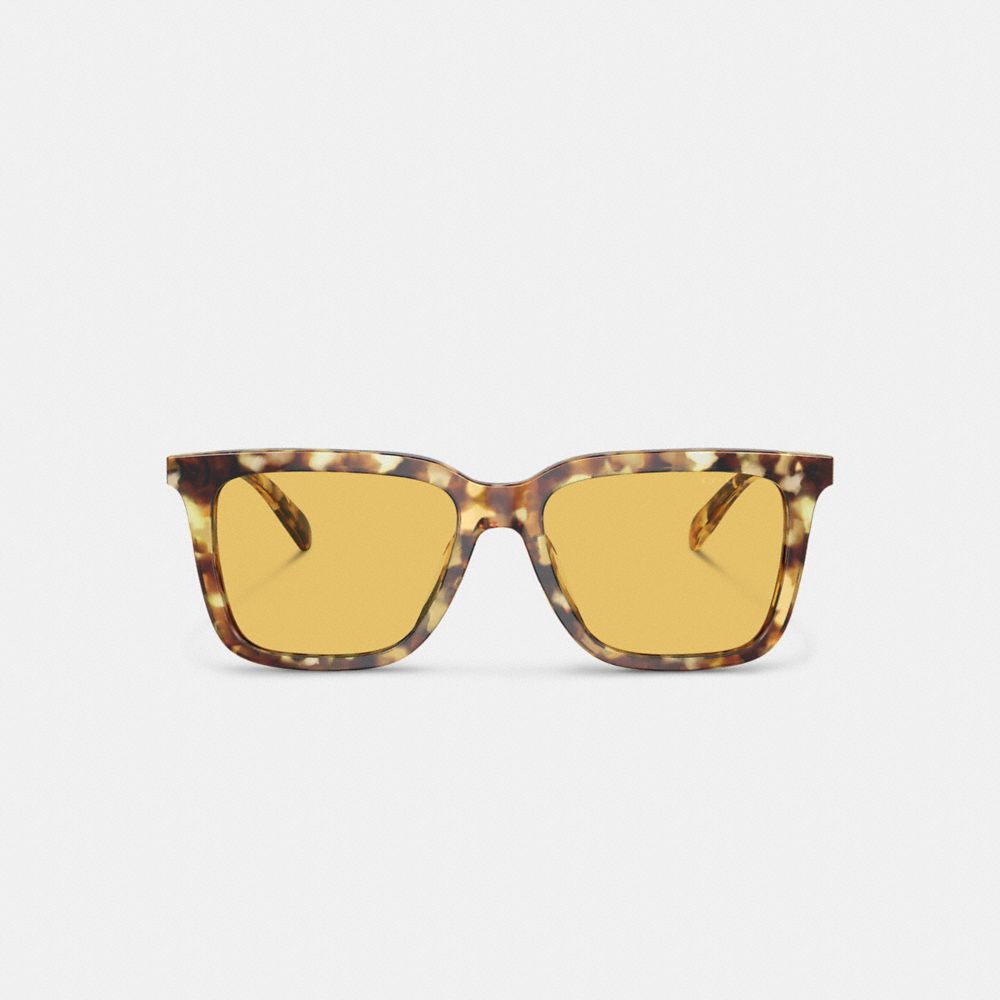 Lentes de Sol Coach Signature Square Honey Hombre Naranjas | CL_CH70798