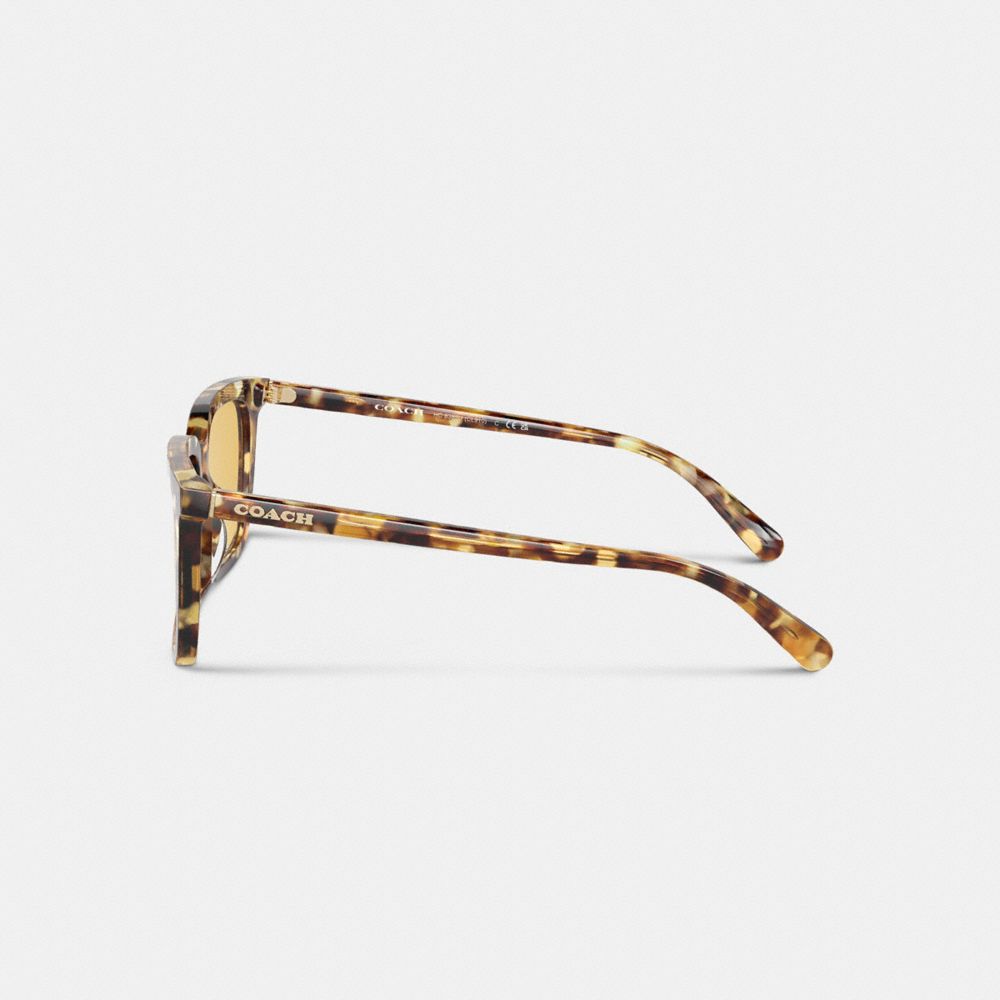 Lentes de Sol Coach Signature Square Honey Hombre Naranjas | CL_CH70798