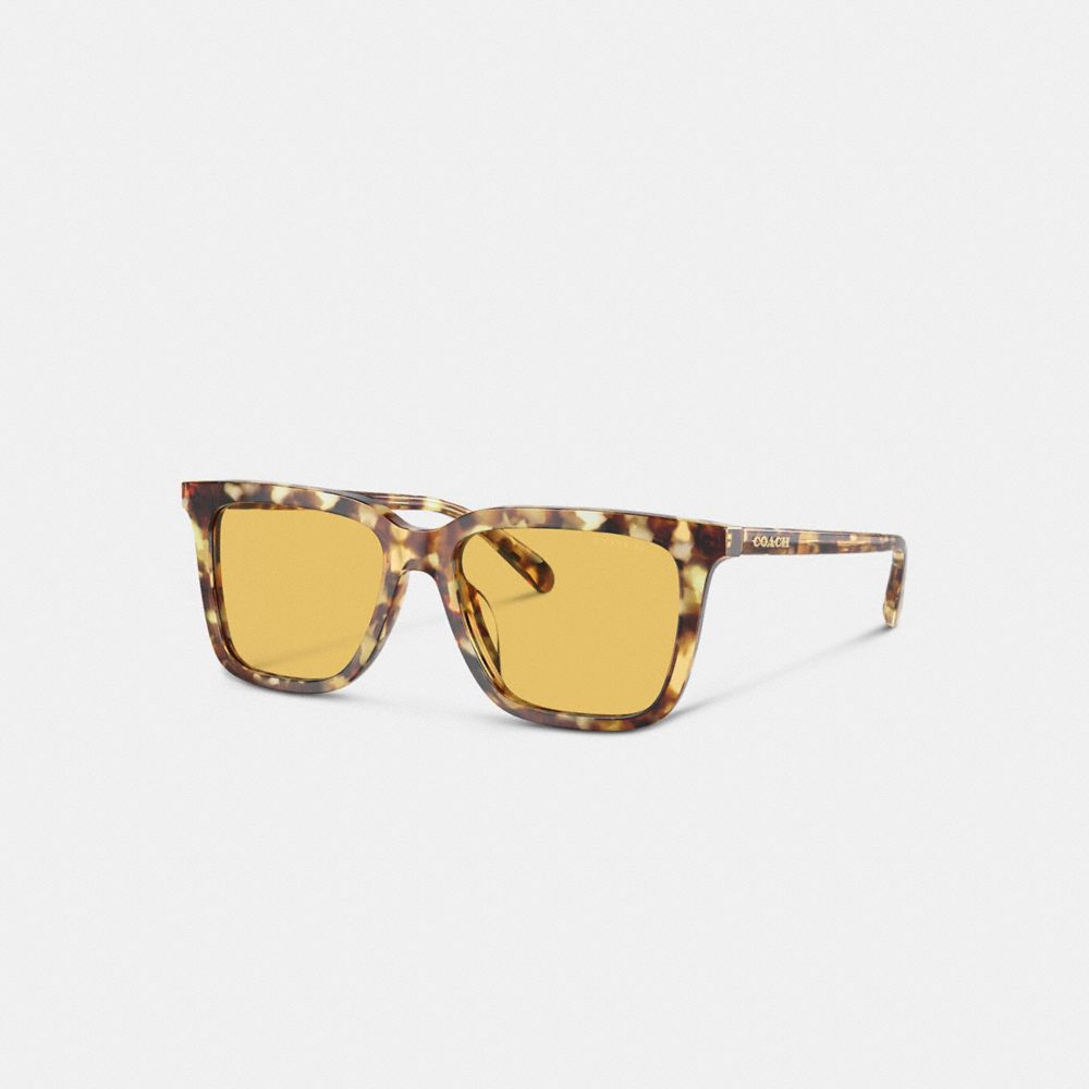 Lentes de Sol Coach Signature Square Honey Hombre Naranjas | CL_CH70798