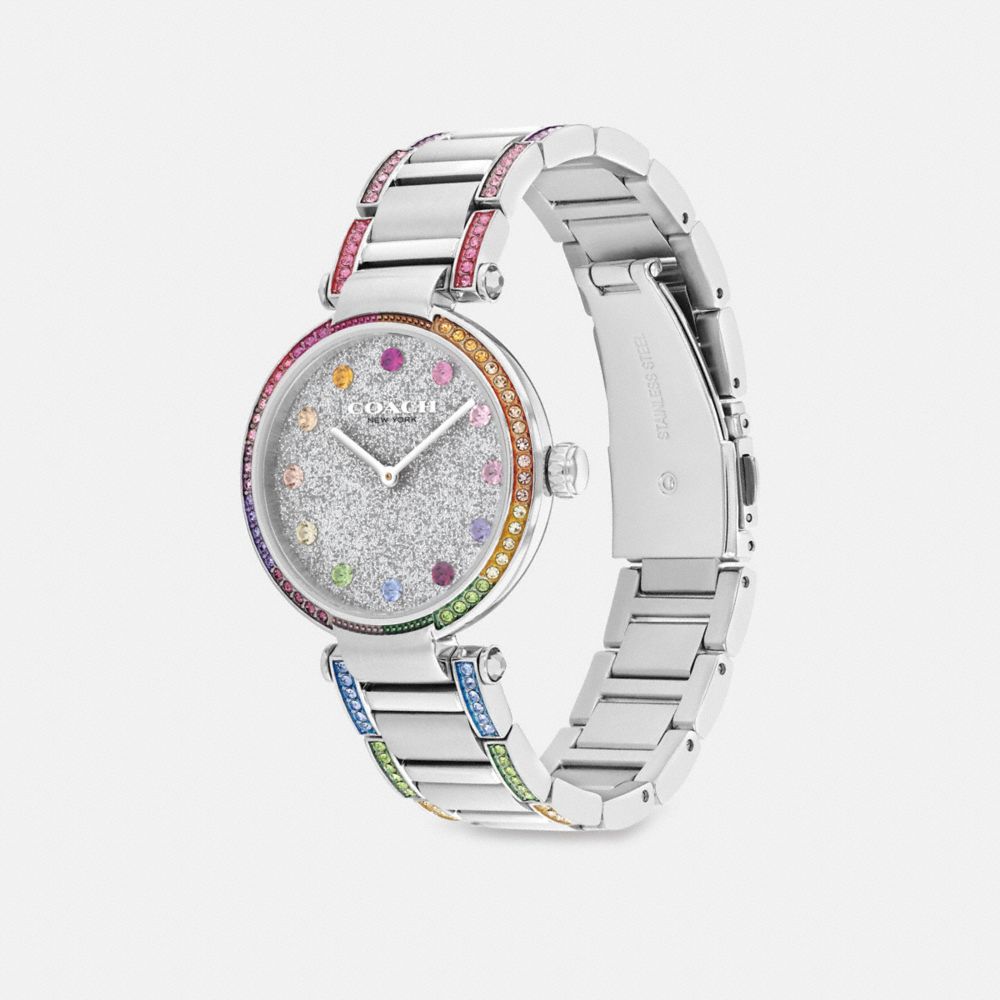 Relojes Coach Cary 34 Mm Stainless Steel Mujer Gris | CL_CH93328